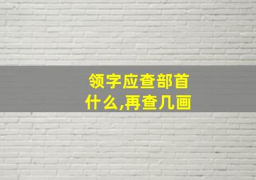 领字应查部首什么,再查几画