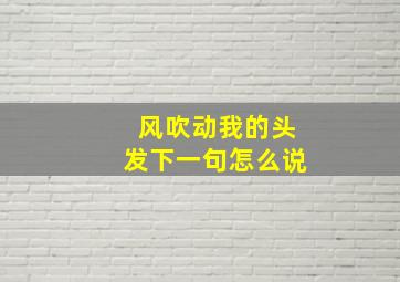 风吹动我的头发下一句怎么说