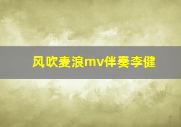 风吹麦浪mv伴奏李健