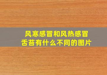 风寒感冒和风热感冒舌苔有什么不同的图片