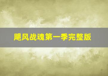 飓风战魂第一季完整版