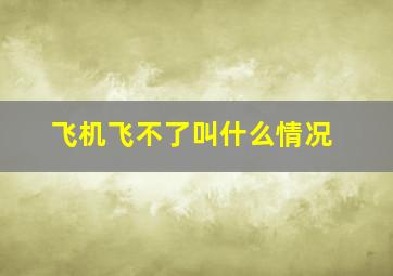 飞机飞不了叫什么情况