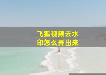 飞狐视频去水印怎么弄出来