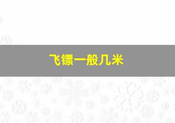 飞镖一般几米