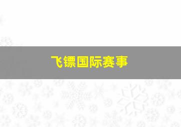 飞镖国际赛事