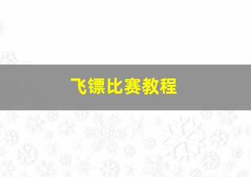 飞镖比赛教程