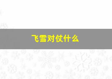 飞雪对仗什么