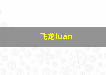 飞龙luan