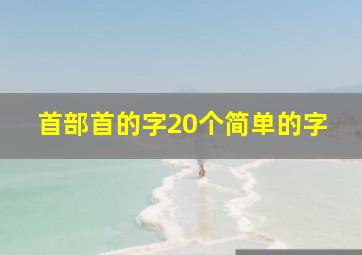 首部首的字20个简单的字