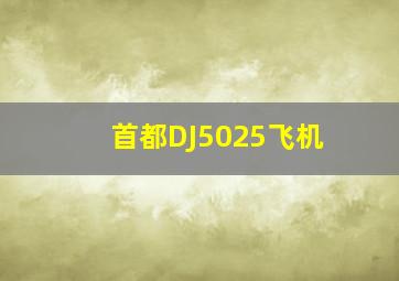 首都DJ5025飞机