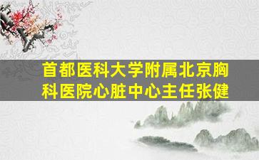 首都医科大学附属北京胸科医院心脏中心主任张健