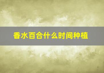 香水百合什么时间种植