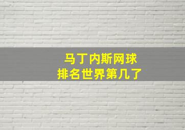 马丁内斯网球排名世界第几了