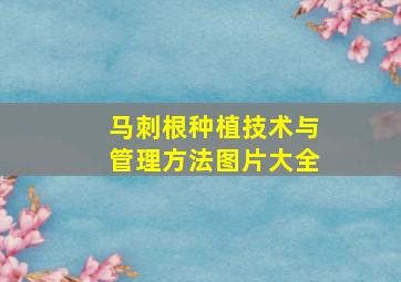 马刺根种植技术与管理方法图片大全