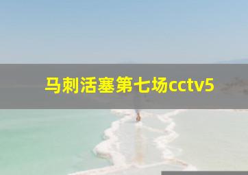 马刺活塞第七场cctv5