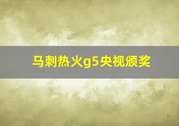 马刺热火g5央视颁奖