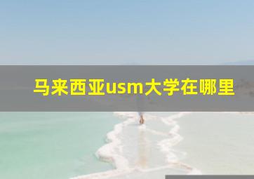 马来西亚usm大学在哪里