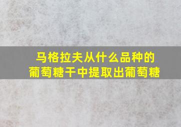 马格拉夫从什么品种的葡萄糖干中提取出葡萄糖