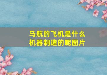 马航的飞机是什么机器制造的呢图片