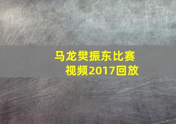 马龙樊振东比赛视频2017回放