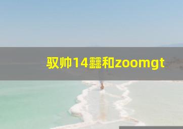 驭帅14䨻和zoomgt