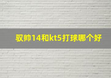 驭帅14和kt5打球哪个好