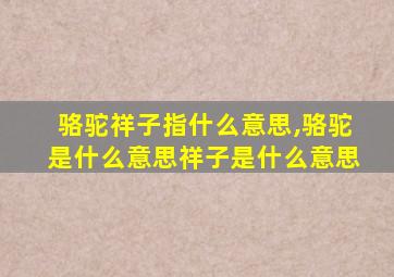 骆驼祥子指什么意思,骆驼是什么意思祥子是什么意思