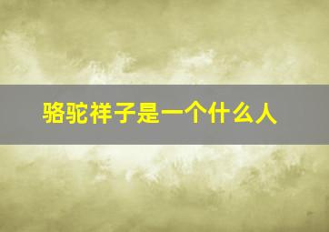 骆驼祥子是一个什么人