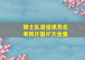 骑士队退役球员名单照片图片大全集