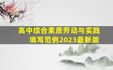 高中综合素质劳动与实践填写范例2023最新版