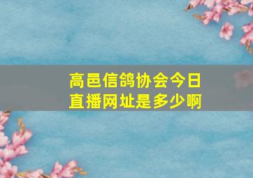 高邑信鸽协会今日直播网址是多少啊