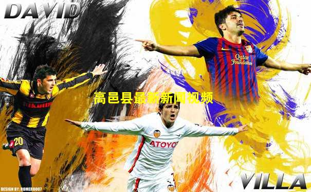 高邑县最新新闻视频