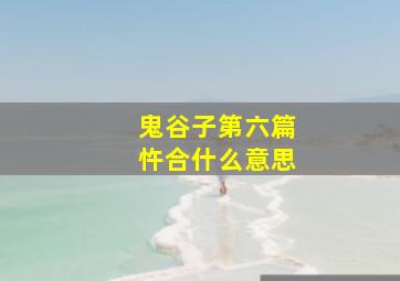 鬼谷子第六篇忤合什么意思