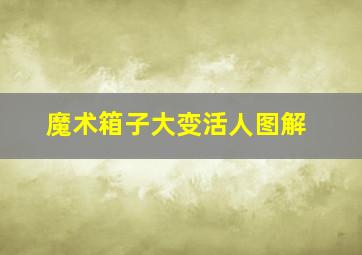 魔术箱子大变活人图解