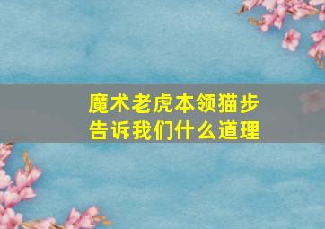 魔术老虎本领猫步告诉我们什么道理