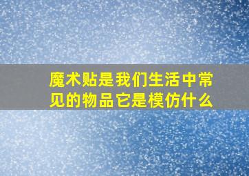 魔术贴是我们生活中常见的物品它是模仿什么