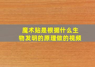 魔术贴是根据什么生物发明的原理做的视频