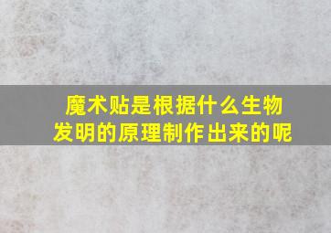 魔术贴是根据什么生物发明的原理制作出来的呢