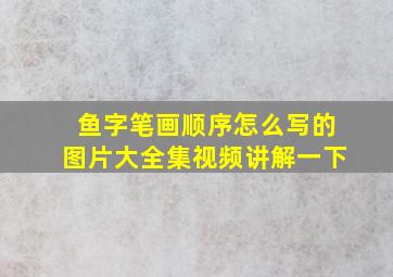 鱼字笔画顺序怎么写的图片大全集视频讲解一下