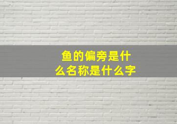 鱼的偏旁是什么名称是什么字