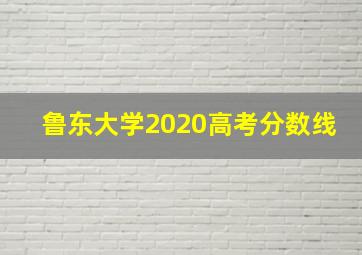 鲁东大学2020高考分数线