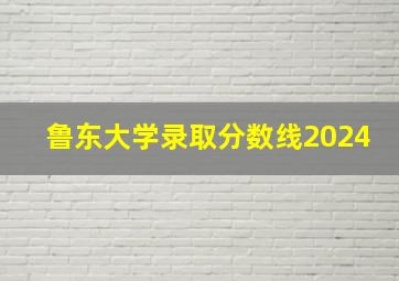 鲁东大学录取分数线2024