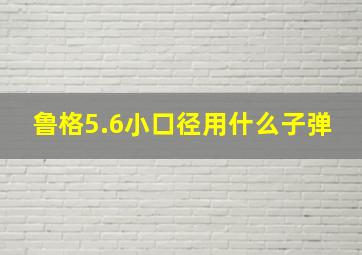 鲁格5.6小口径用什么子弹