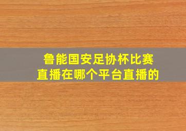 鲁能国安足协杯比赛直播在哪个平台直播的