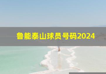 鲁能泰山球员号码2024