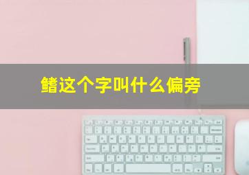 鳍这个字叫什么偏旁