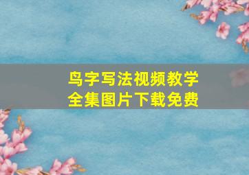 鸟字写法视频教学全集图片下载免费