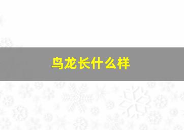 鸟龙长什么样