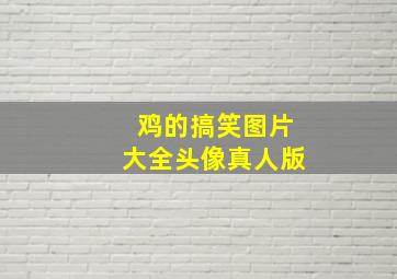 鸡的搞笑图片大全头像真人版