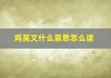 鸡英文什么意思怎么读